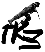 Профессиональная серия «Подводные камни законодательства»